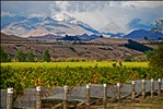 Autumn in the Awatere Valley, Marlborough, New Zealand, 13 April 2007